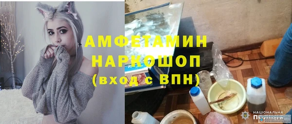 индика Богданович